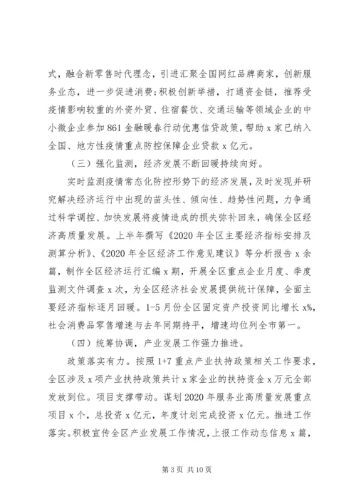 统计局半年总结及计划.docx