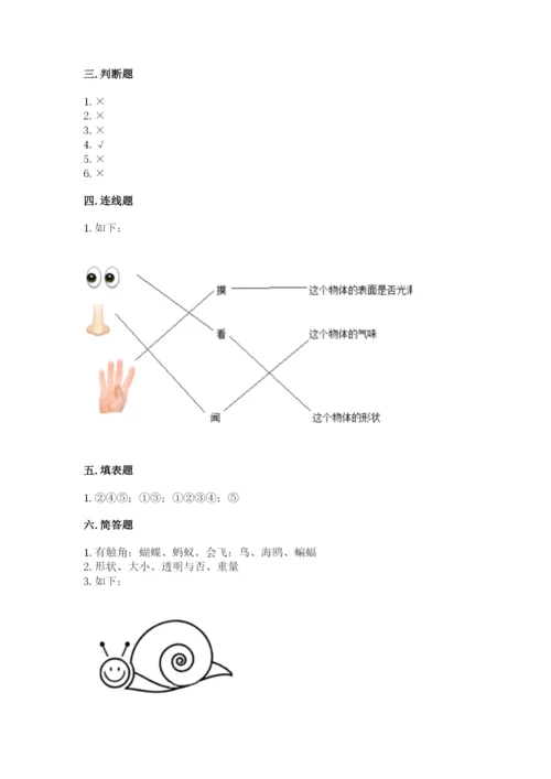 教科版小学科学一年级下册期末测试卷标准卷.docx