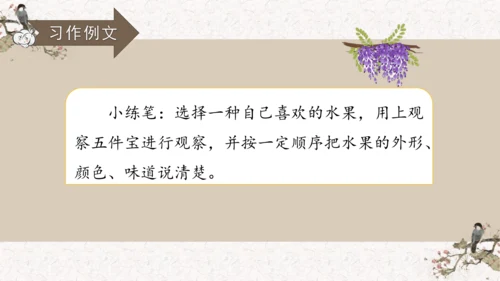 第五单元习作例文我爱故乡的杨梅