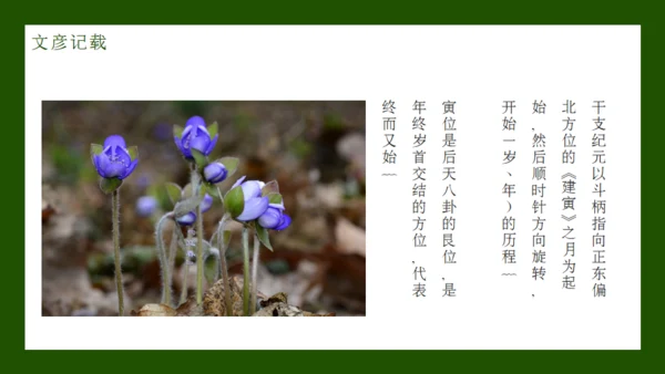 立春节气通用PPT模板