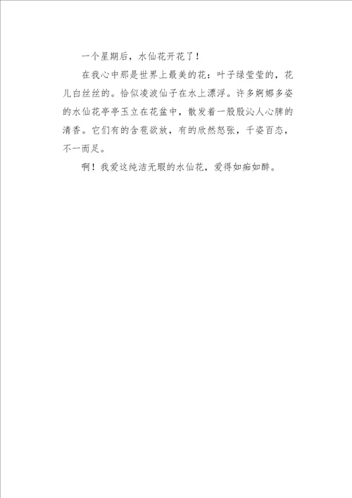 五年级作文叙事观察水仙花日记450字