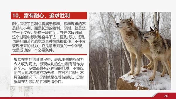 狼性文化企业培训PPT模板