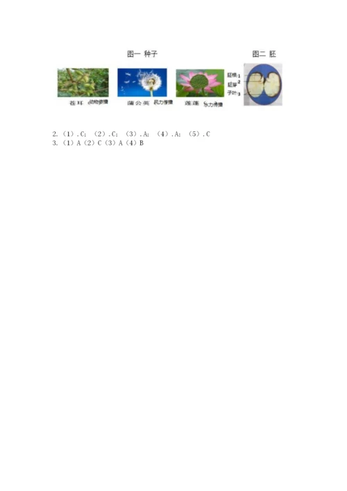 科学四年级下册第一单元《植物的生长变化》测试卷附答案【培优a卷】.docx