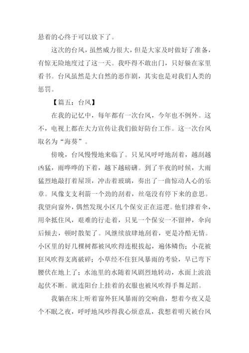 关于台风的作文300字.docx