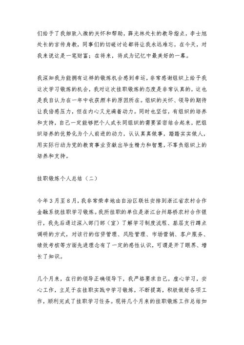 财务处挂职锻炼工作总结
