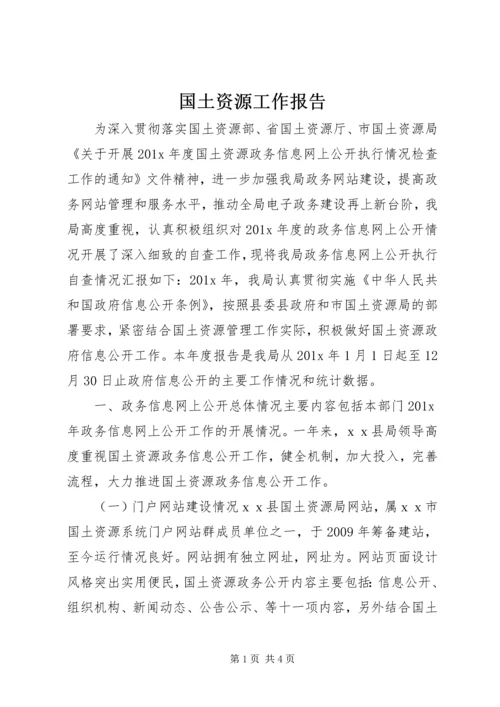 国土资源工作报告.docx