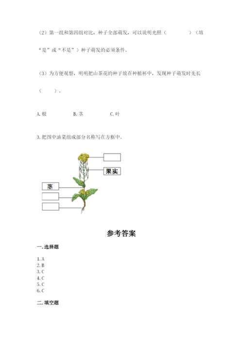 教科版科学四年级下册第一单元《植物的生长变化》测试卷带答案（巩固）.docx