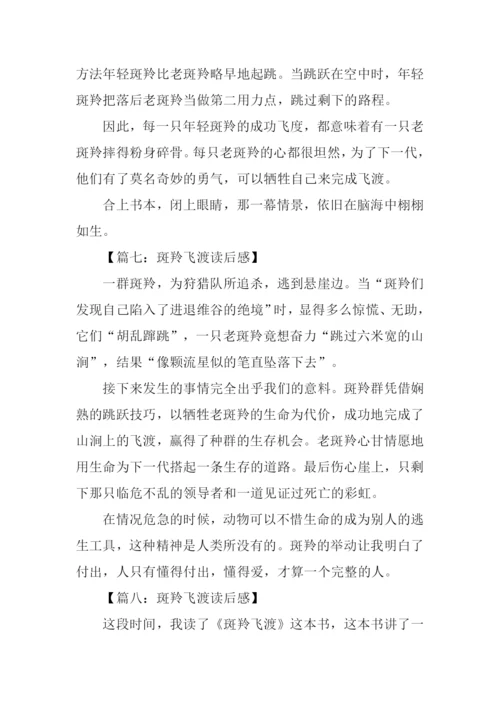 斑羚飞渡读后感300字.docx