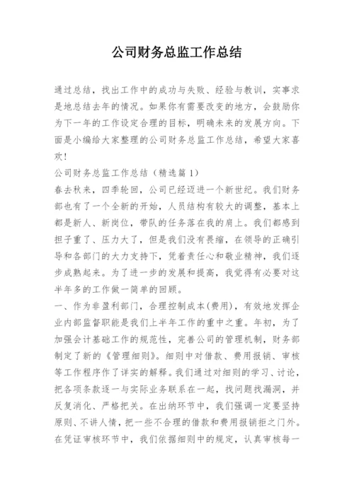 公司财务总监工作总结.docx