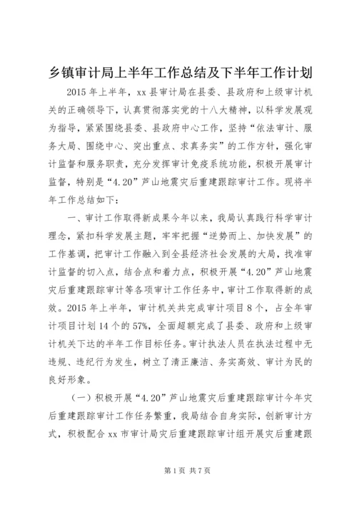 乡镇审计局上半年工作总结及下半年工作计划.docx