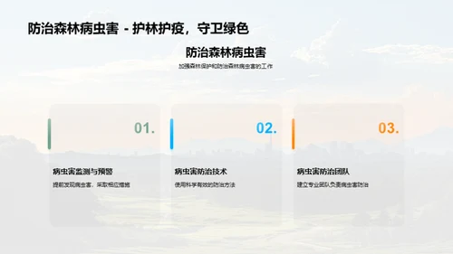 绿色使命：森林经营新观