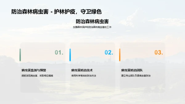 绿色使命：森林经营新观