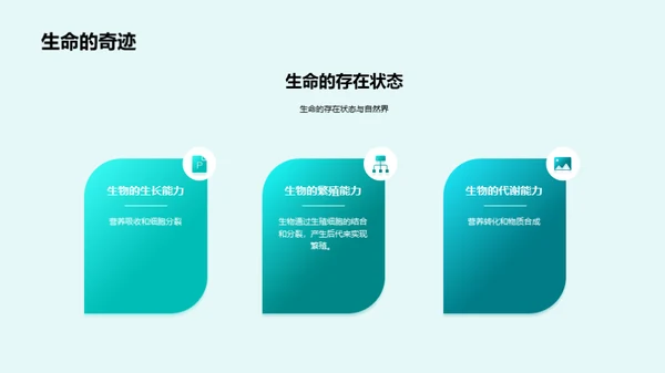 3D风教育培训教学课件PPT模板