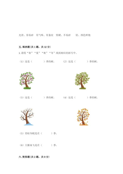 教科版二年级上册科学期末测试卷新版.docx
