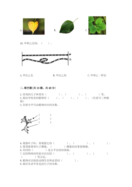 教科版一年级上册科学期末测试卷精品（网校专用）.docx