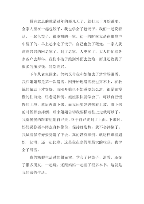 我的寒假作文600字.docx