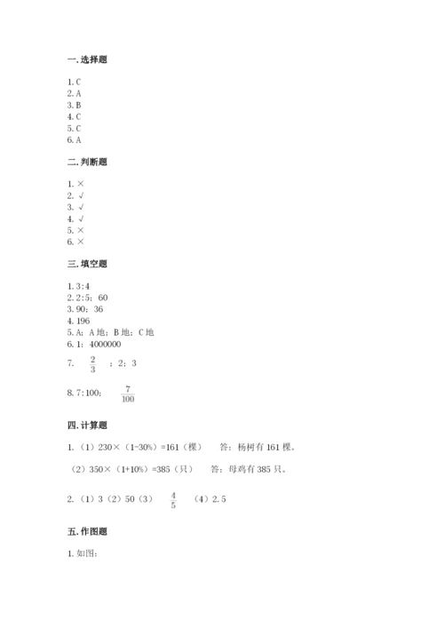 苏仙区六年级下册数学期末测试卷精编答案.docx