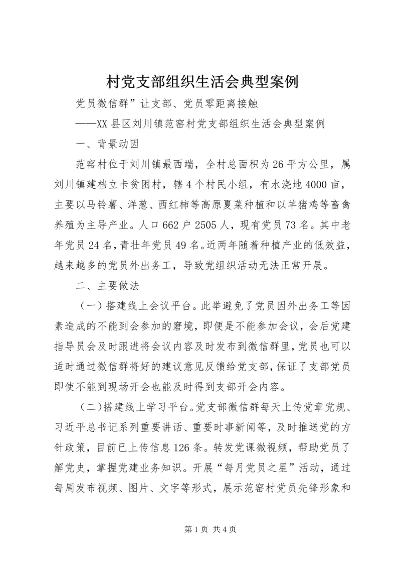 村党支部组织生活会典型案例.docx