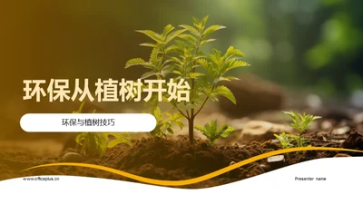 环保从植树开始