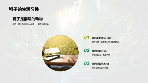 探秘动物世界