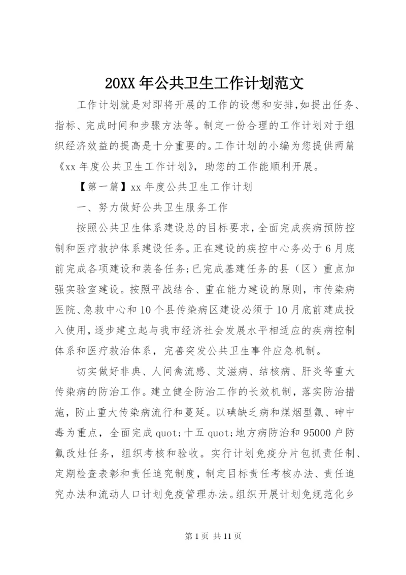 某年公共卫生工作计划范文.docx