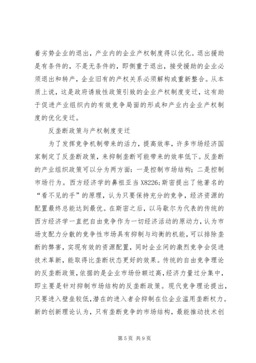 产业组织政策与产权制度变迁.docx