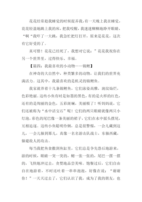 关于动物的作文300字.docx