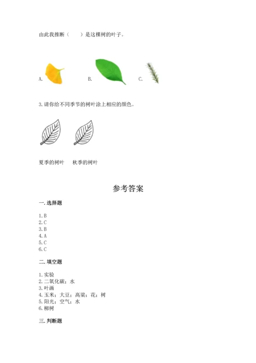 教科版科学一年级上册第一单元《植物》测试卷（培优）.docx