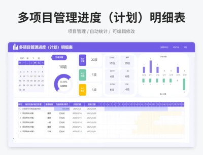 多项目管理进度（计划）明细表