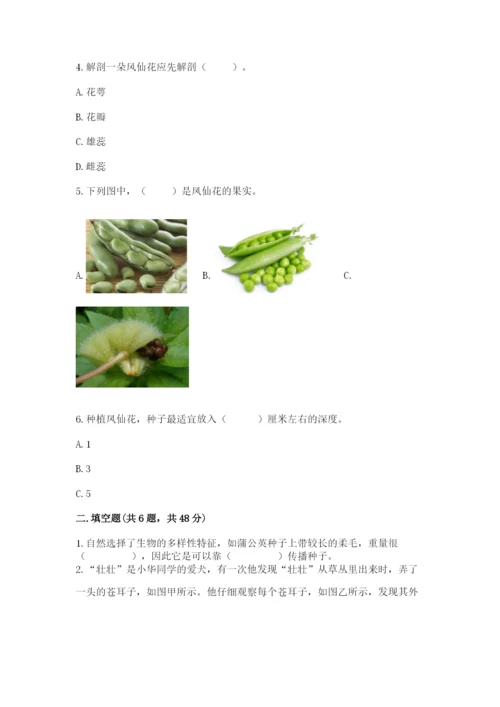 教科版四年级下册科学第一单元《植物的生长变化》测试卷【名师系列】.docx