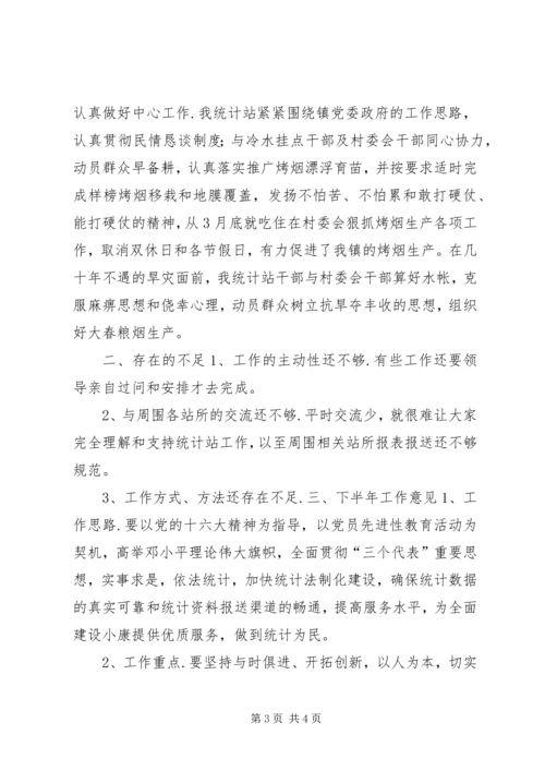 统计站XX上半年工作总结及下半年工作计划.docx