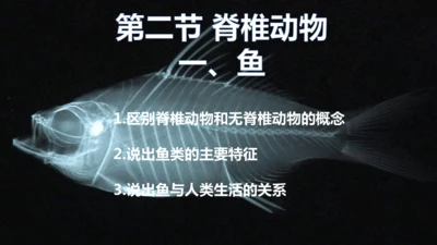 人教版生物七年级上册2.2.2《脊椎动物-鱼》（课件）(共18张PPT)