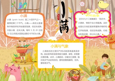 小满传统节气Word小报