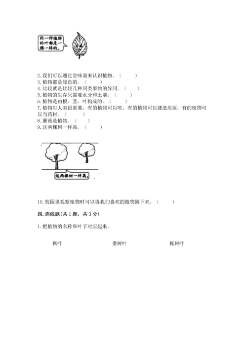 教科版一年级上册科学期末测试卷及参考答案.docx