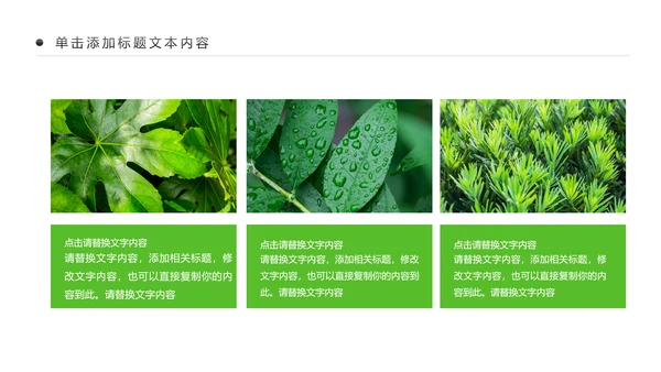 绿色清新植物生长敬畏生命成长励志PPT模板