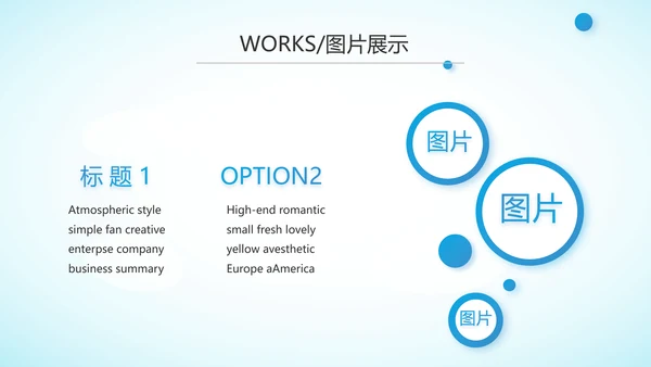 蓝色大方医疗行业工作总结动态PPT