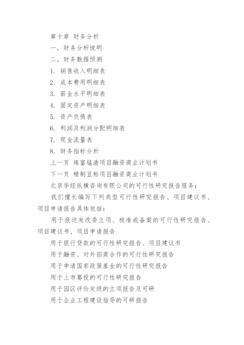 项目融资计划书.docx