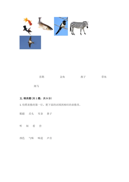 教科版小学科学一年级下册期末测试卷a4版.docx