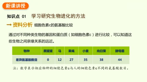 7.3.2生物进化的历程-八年级生物人教版下学期同步精品课件(共34张PPT)