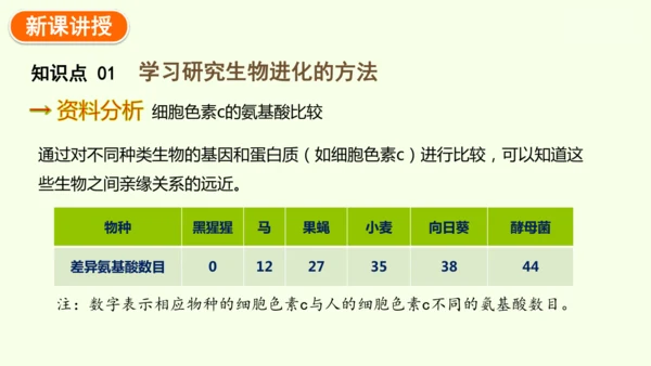 7.3.2生物进化的历程-八年级生物人教版下学期同步精品课件(共34张PPT)