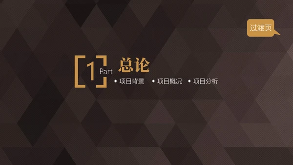 轻奢质感商业项目计划书通用PPT模板
