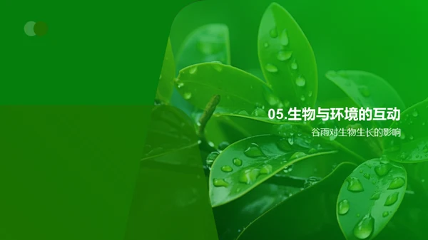 谷雨节气生物影响