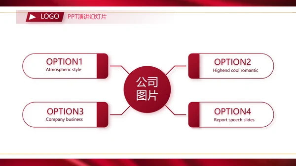 高端公司品牌产品介绍策划方案工作总结PPT