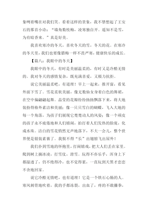作文我眼中的冬天.docx