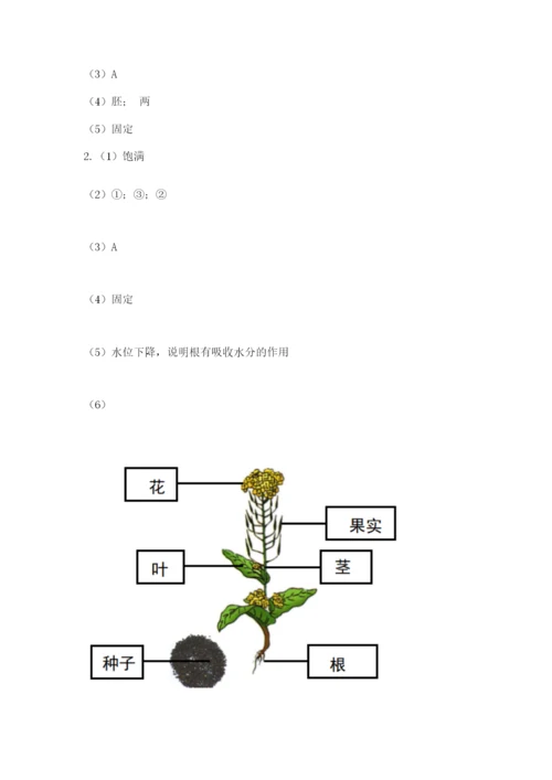 教科版科学四年级下册第一单元《植物的生长变化》测试卷必考题.docx