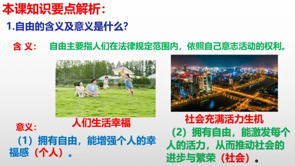 第七课  尊重自由平等  复习课件（24张PPT ）