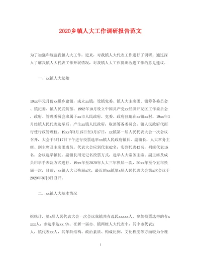 精编乡镇人大工作调研报告范文.docx