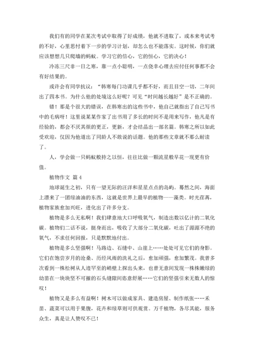 有关植物作文锦集5篇.docx