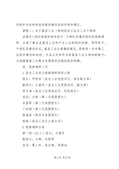 视察调研活动工作方案.docx