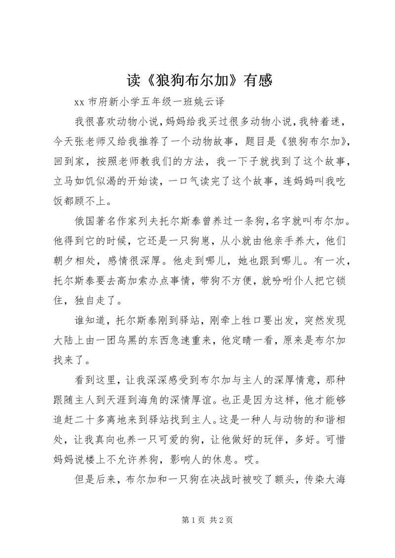 读《狼狗布尔加》有感 (2).docx